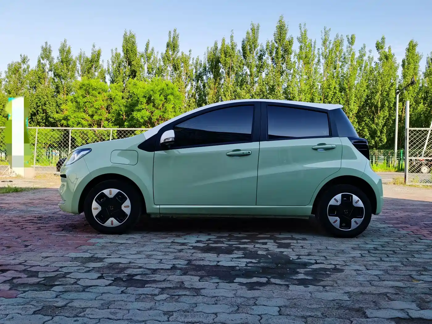 Sehol Flower Fairy 2023 2023 Anniversary 301km Four-Leaf Clover 36kW