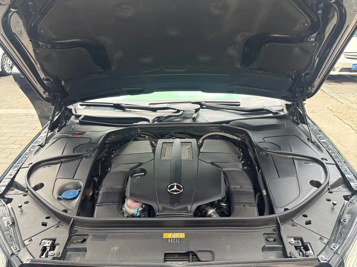 Mercedes-Benz S-Class 2016 S 320 L Luxury фото 14