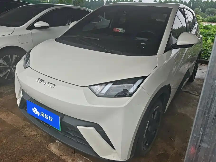  BYD Seagull 2023 Freedom Edition