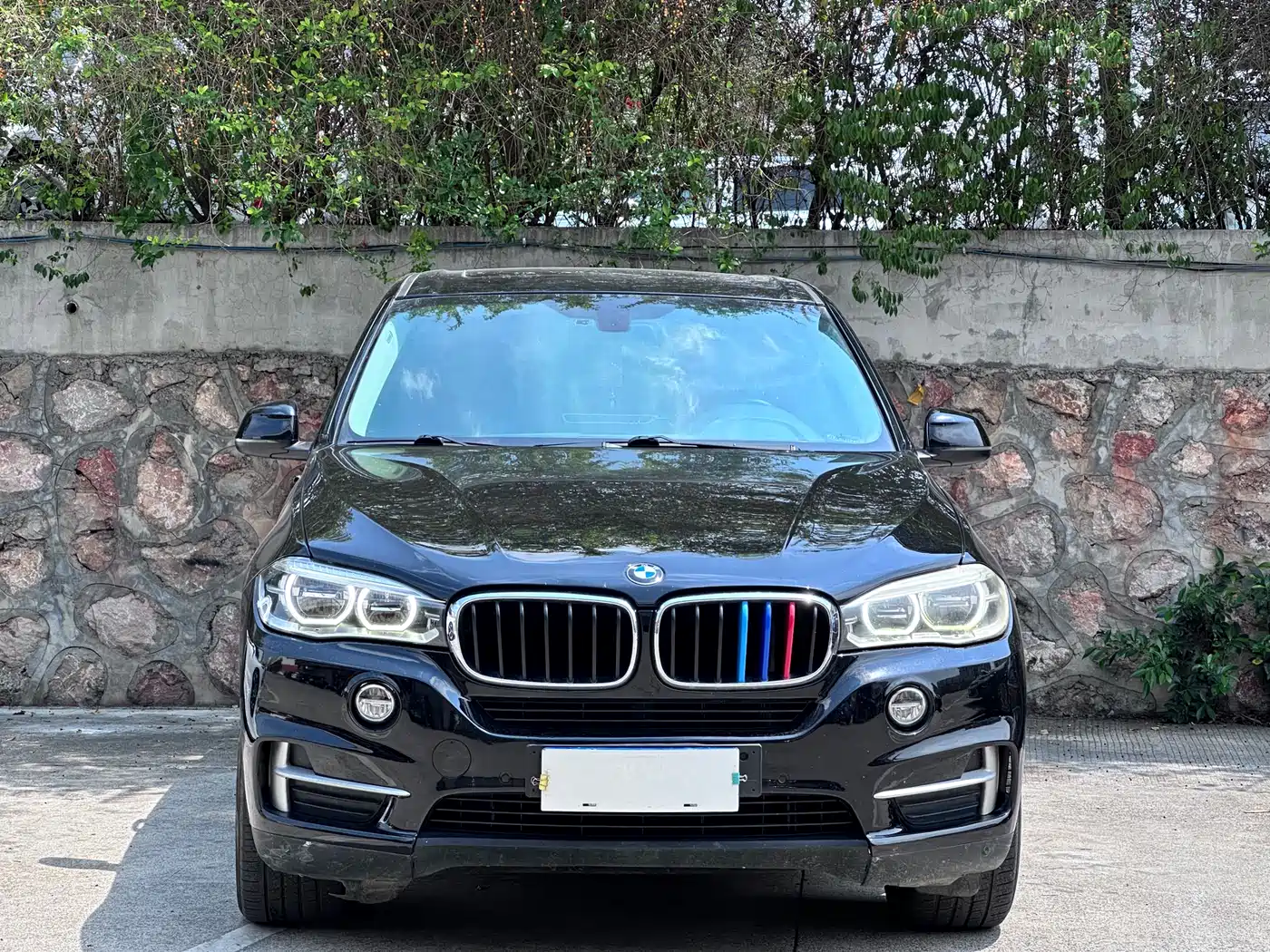 BMW X5 (Import) 2014 xDrive35i Leading фото 2
