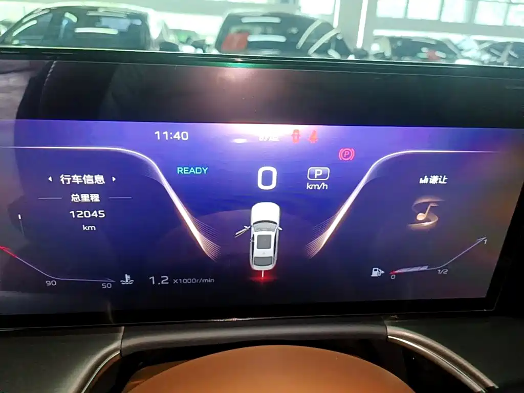 Hongqi H9 2025 2024 2.0T Qi Enjoy Private Fashion Edition