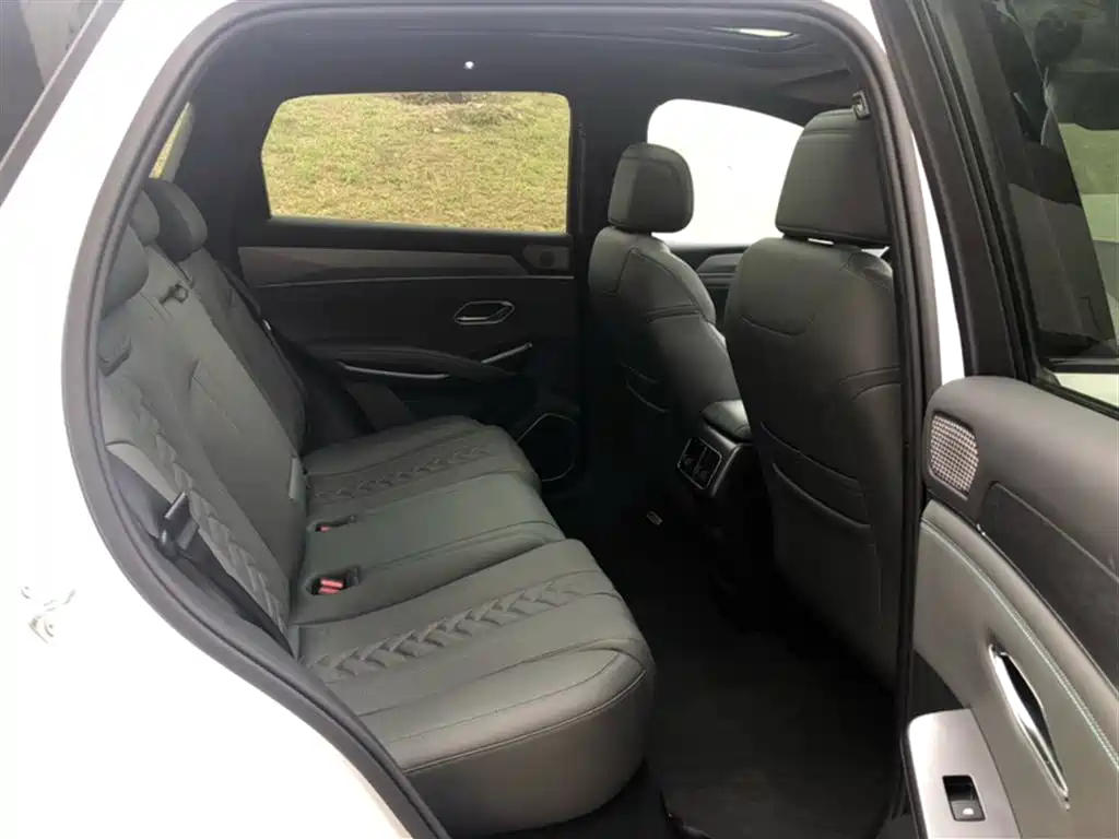 BYD Song L DM-i 2025 Smart Drive 160km Premium фото 25