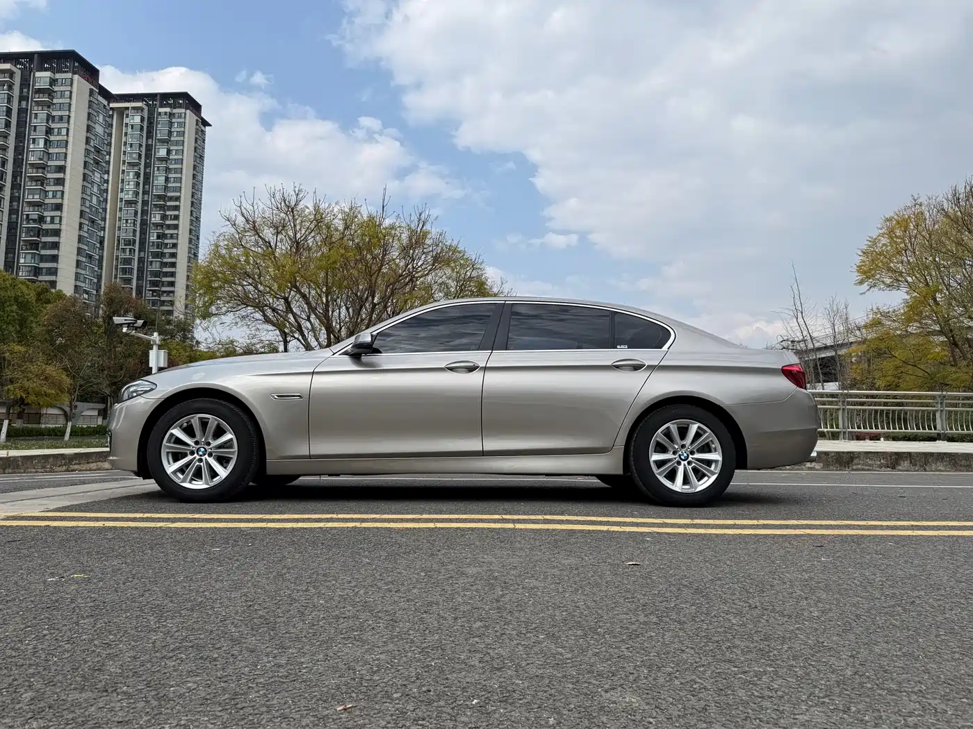 BMW 5 Series 2013 520Li Elegance фото 5
