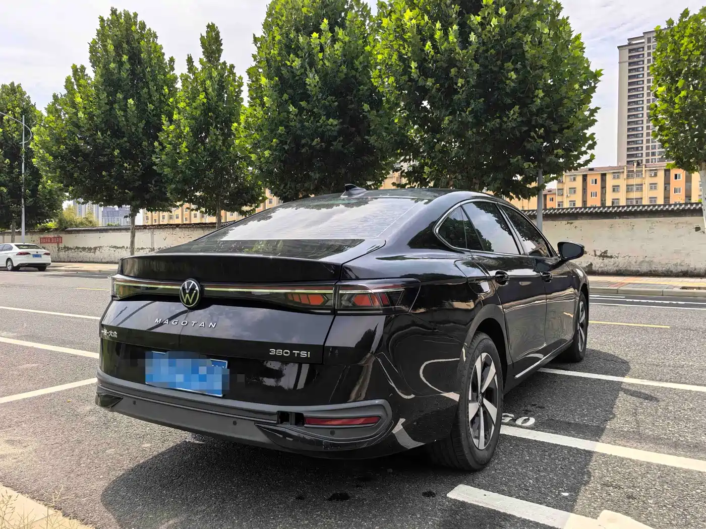 Volkswagen Magotan 2024 2024 300TSI DSG Premium Edition
