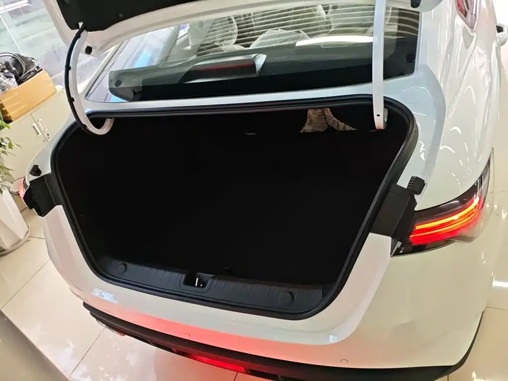 Фото 19 - Geely Binrui