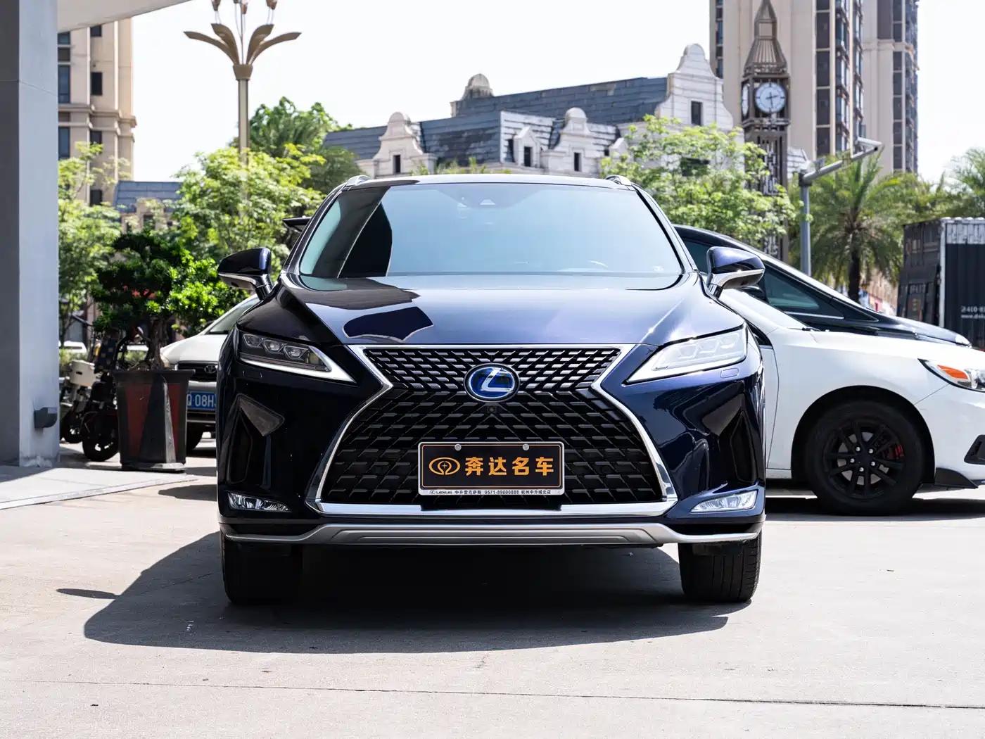 LEXUS RX