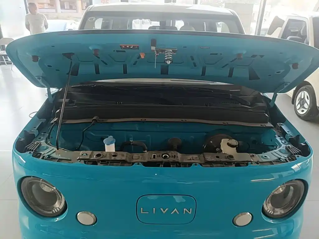 Ruilan Auto Ruilan Blue Elf 2025 2025 Base Model