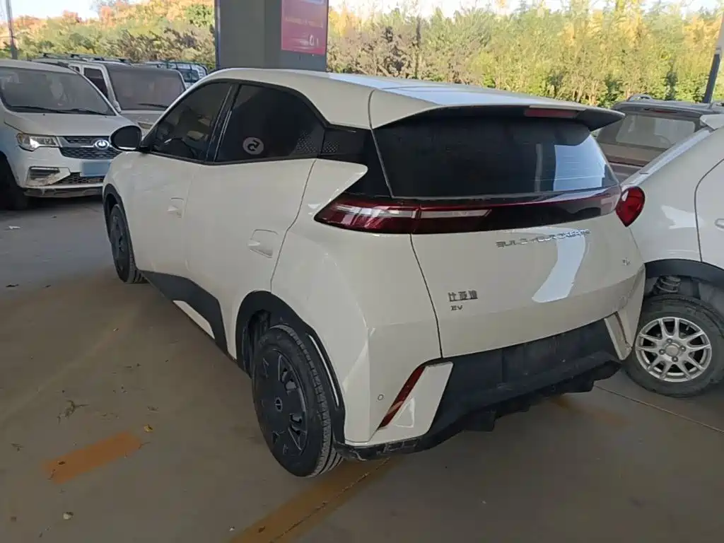 BYD Seagull 2023 2023 Vitality Edition