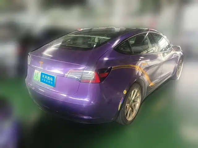 Tesla Model 3 2021 Standard Range Rear-Wheel Drive Upgrade — фото 2