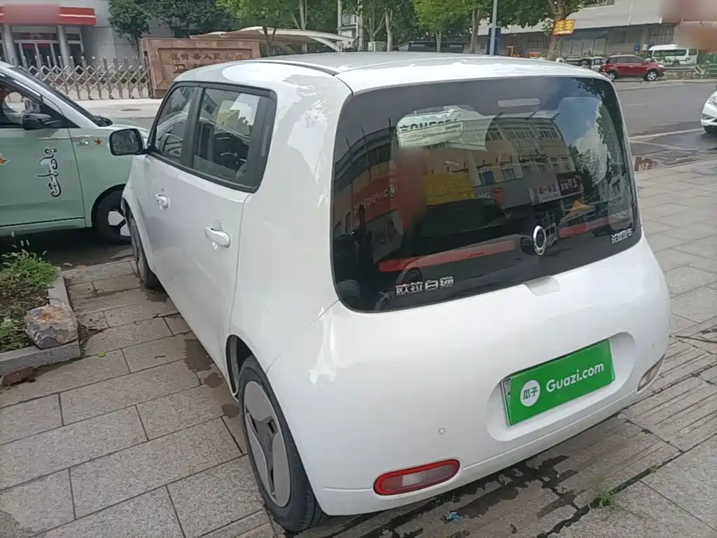 Ora White Cat 2020 2020 360km Luxury Model