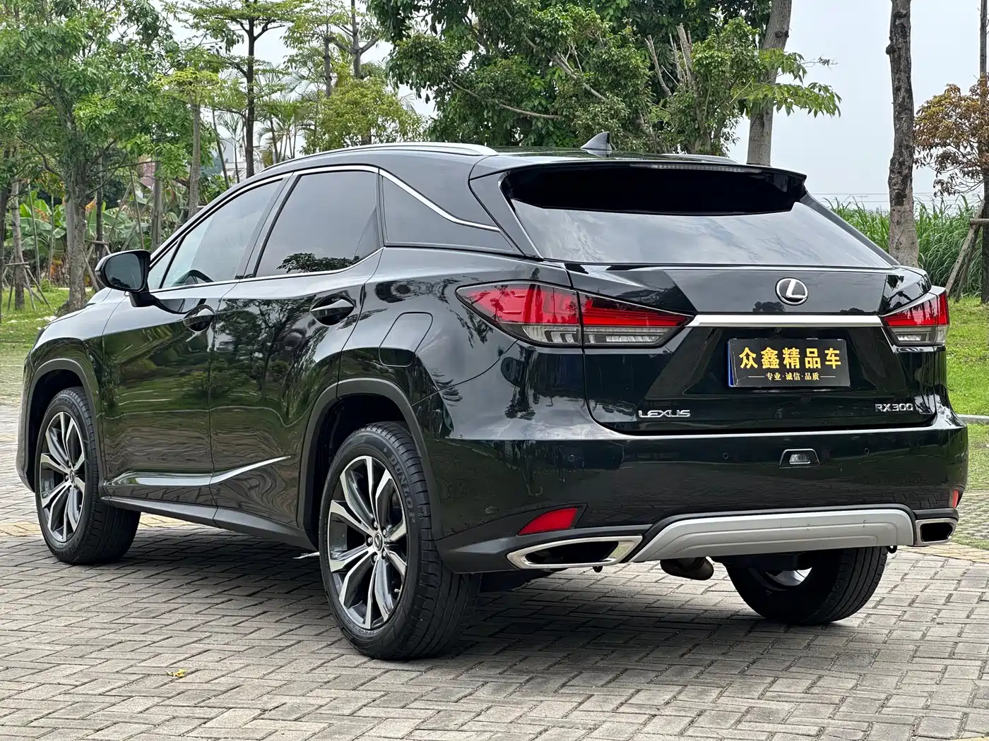 LEXUS RX