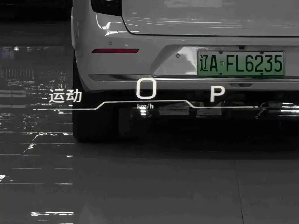 GAC Trumpchi Trumpchi ES9 2024 2024 PHEV 143km Lunar New Year Edition
