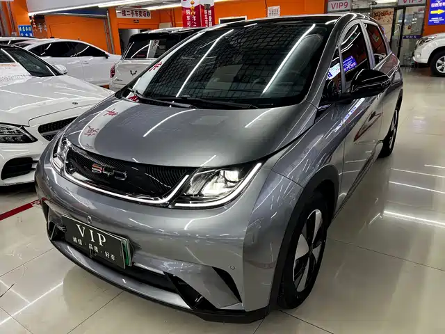 BYD Dolphin 2024