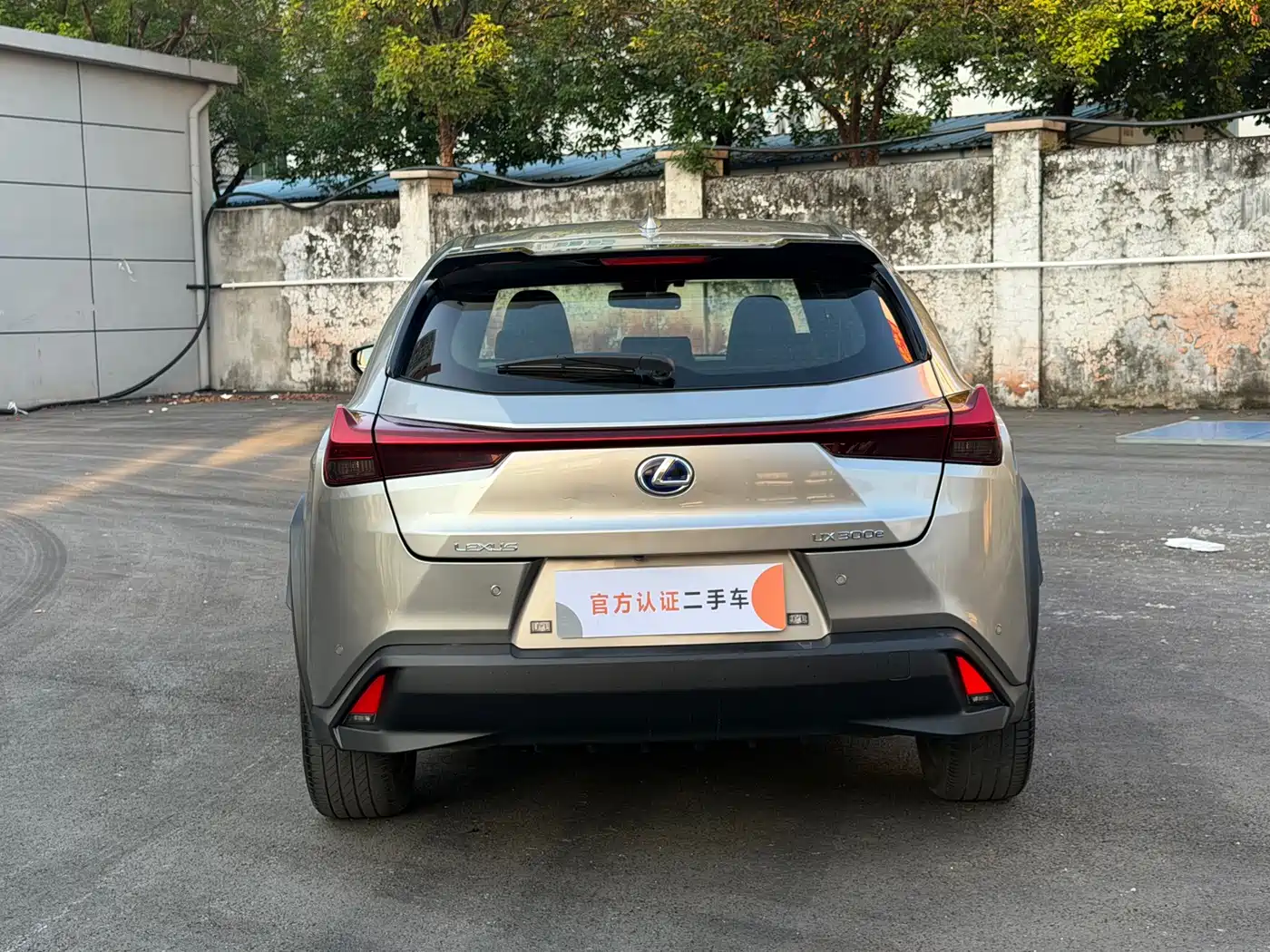 Lexus UX Electric 2022 2020 300e Pure Yue Edition