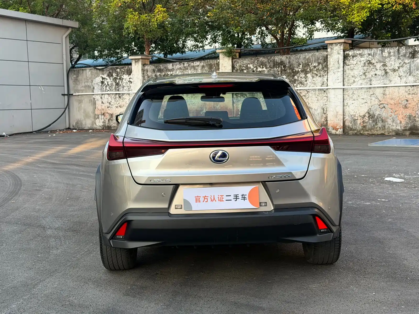 صورة 11 - Lexus UX Electric