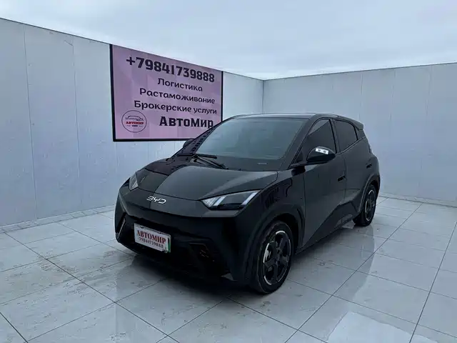 BYD Seagull 2024