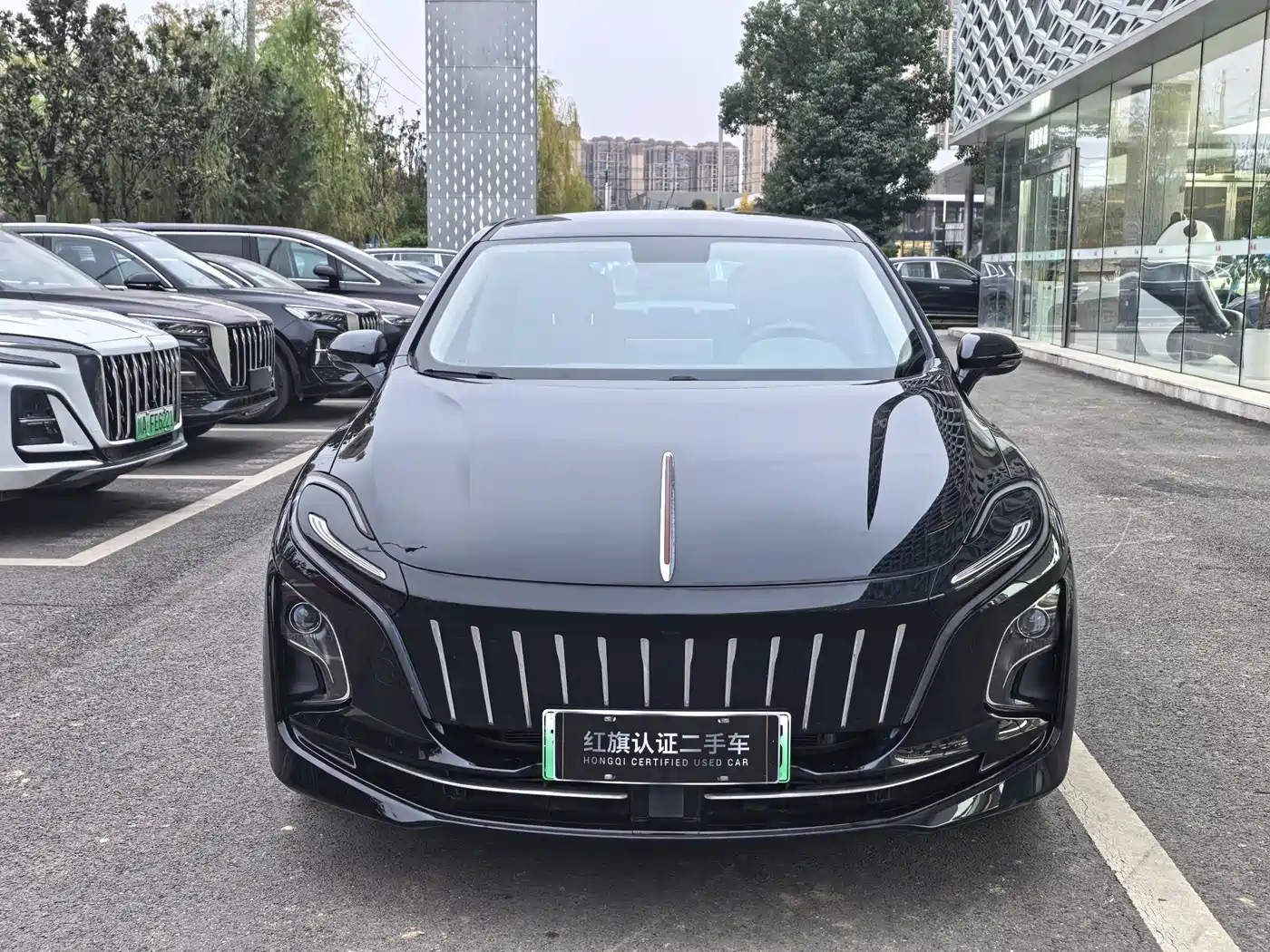 Hongqi E-QM5 2023 Facelift Basic Travel Edition фото 2