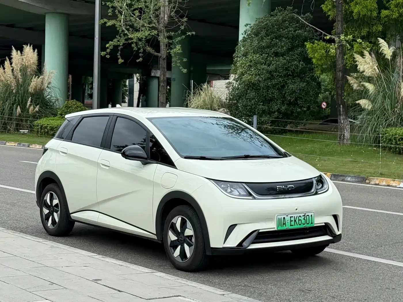 2026 BYD Dolphin