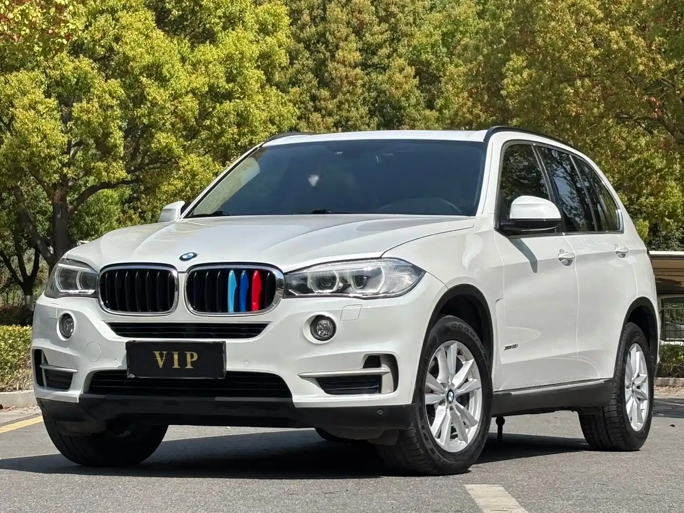 BMW X5 (Import) 2014 xDrive35i Elegance