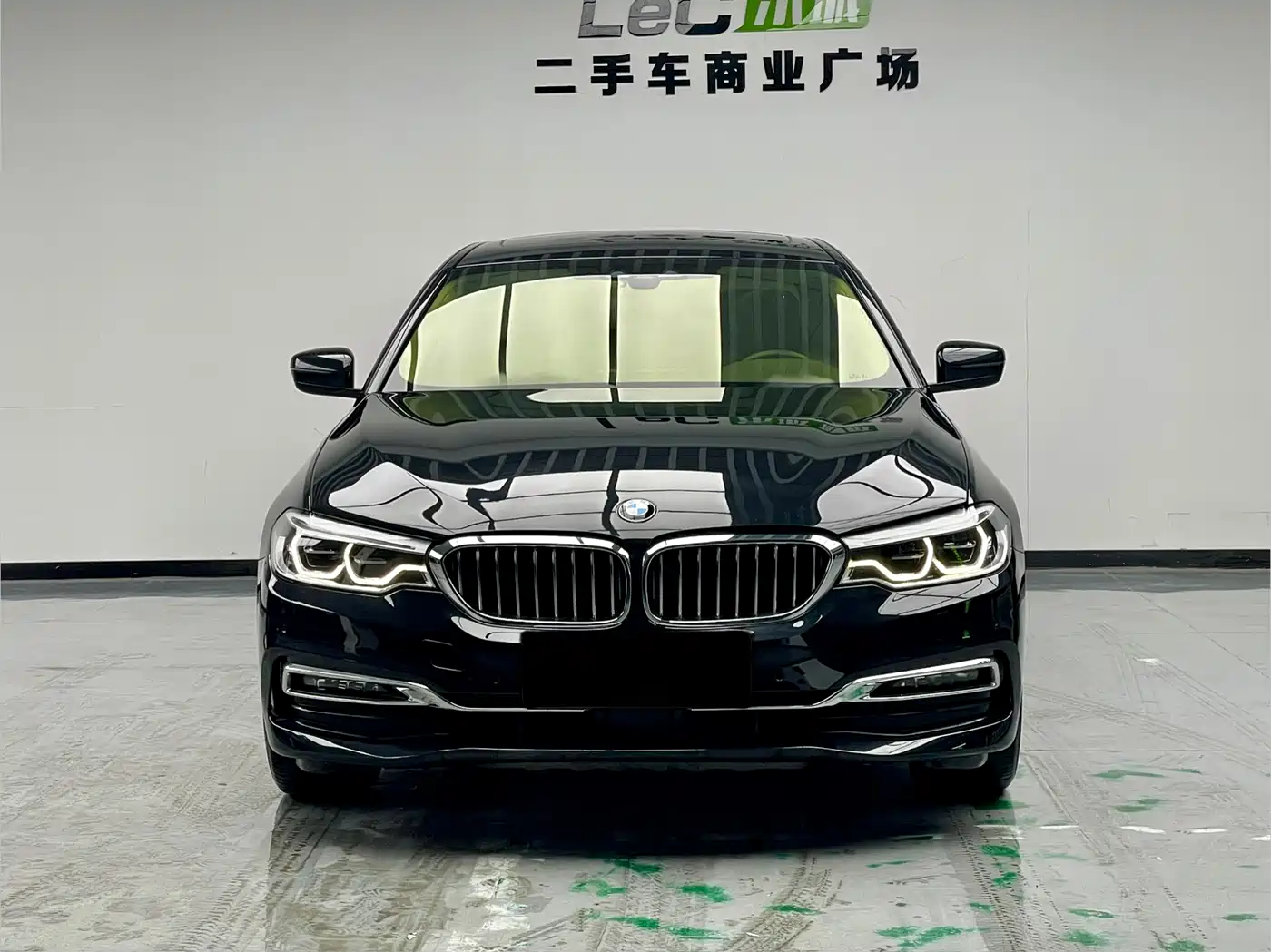 BMW 5 Series New Energy 2019 530Le Pioneer Edition фото 2