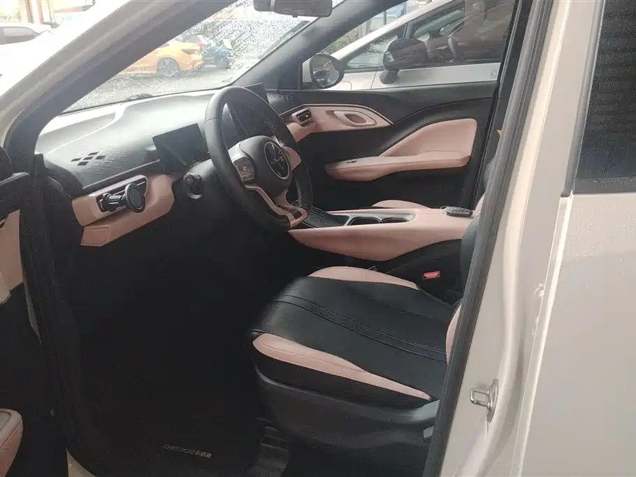 BYD Seagull 2023 Freedom Edition фото 9