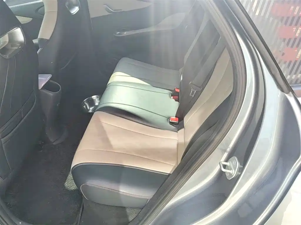 BYD Dolphin 2023 420km Fashion Edition фото 17