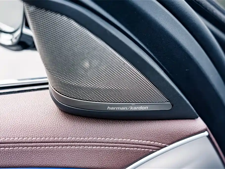 BMW 5 Series 2020 530Li Premium Luxury Package фото 19