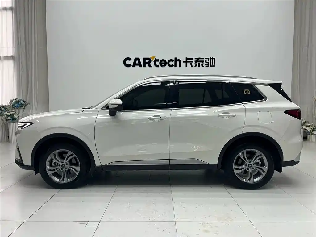 FORD LING RUI
