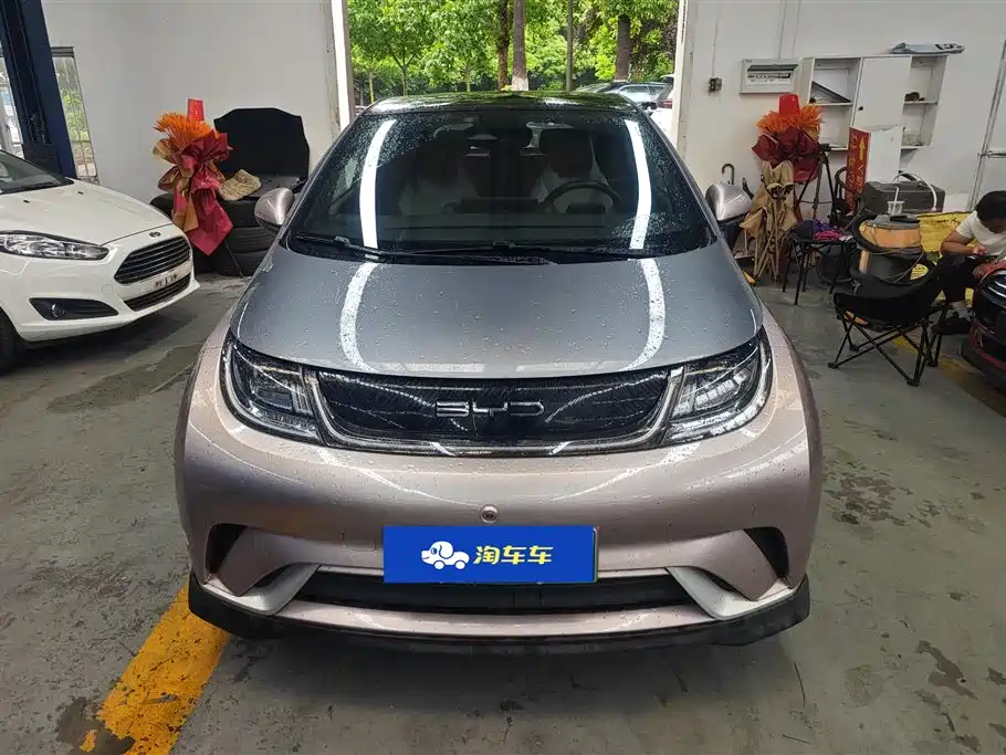 BYD Dolphin 2021 401km Knight Edition фото 2