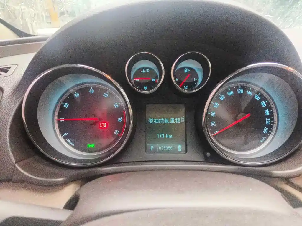 Buick Regal 2010 2010 2.0L Expo Edition