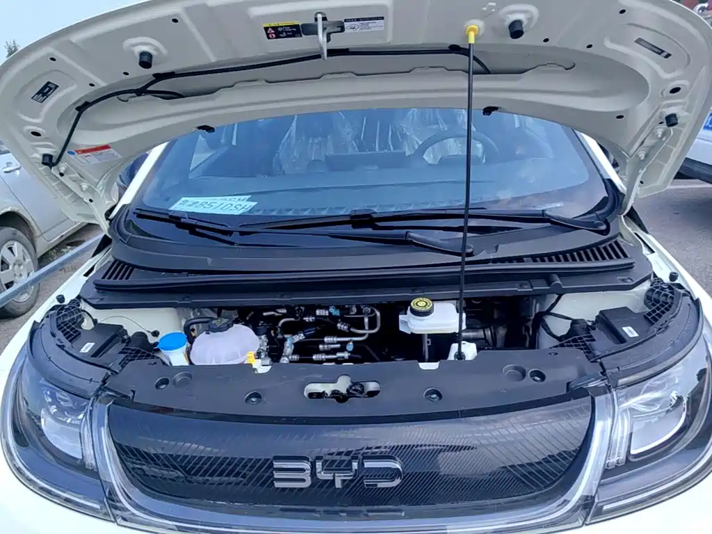 BYD Dolphin 2026 2025 420km Freedom Edition