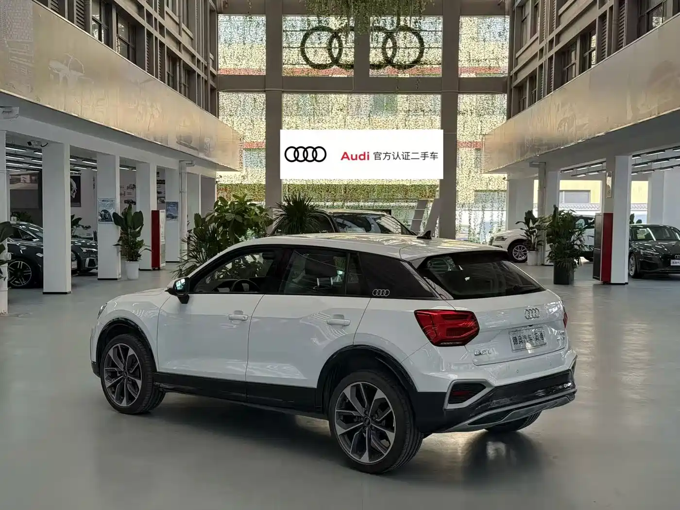 Audi Q2L 2024 Facelift 35TFSI Progressive Dynamic фото 3