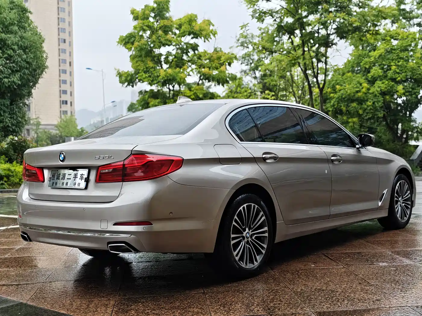 BMW 5 Series 2018 530Li Exclusive Luxury Package фото 8