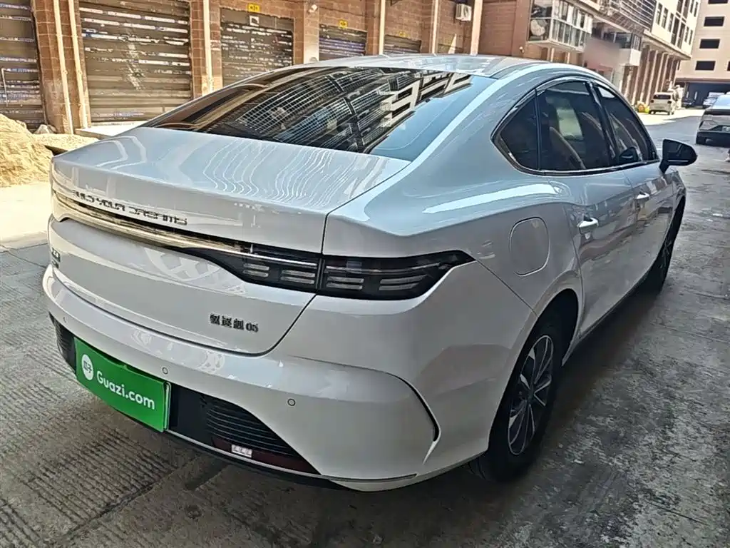 BYD Destroyer 05 2024 Glory Edition DM-i 55KM Luxury фото 7
