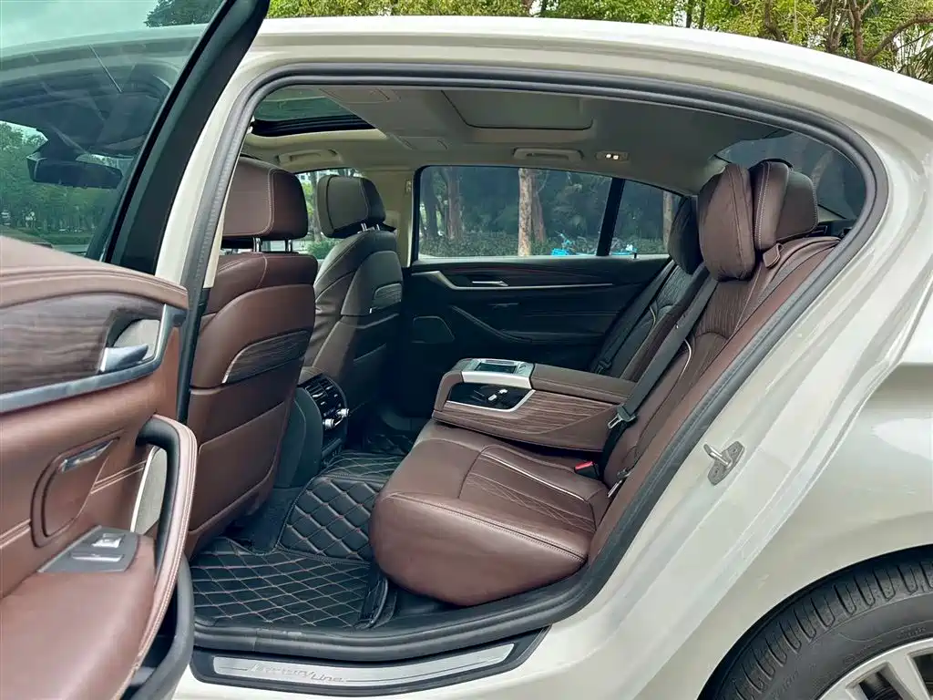 BMW 5 Series 2020 530Li Premium Luxury Package фото 9
