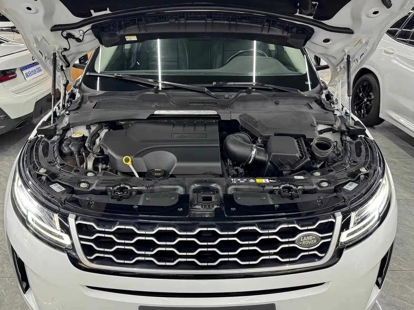 Land Rover Range Rover Evoque 2020 249PS Youth Edition фото 15