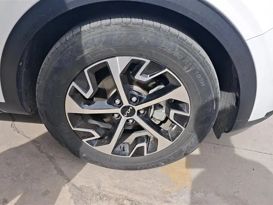 KIA LION PLATINUM EXPANDS THE WORLD