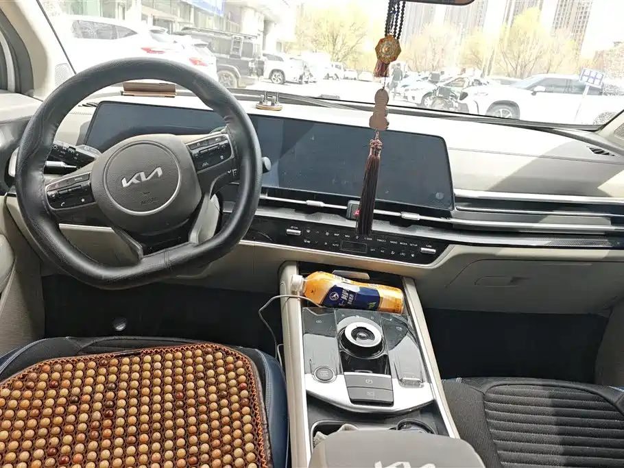 KIA LION PLATINUM EXPANDS THE WORLD