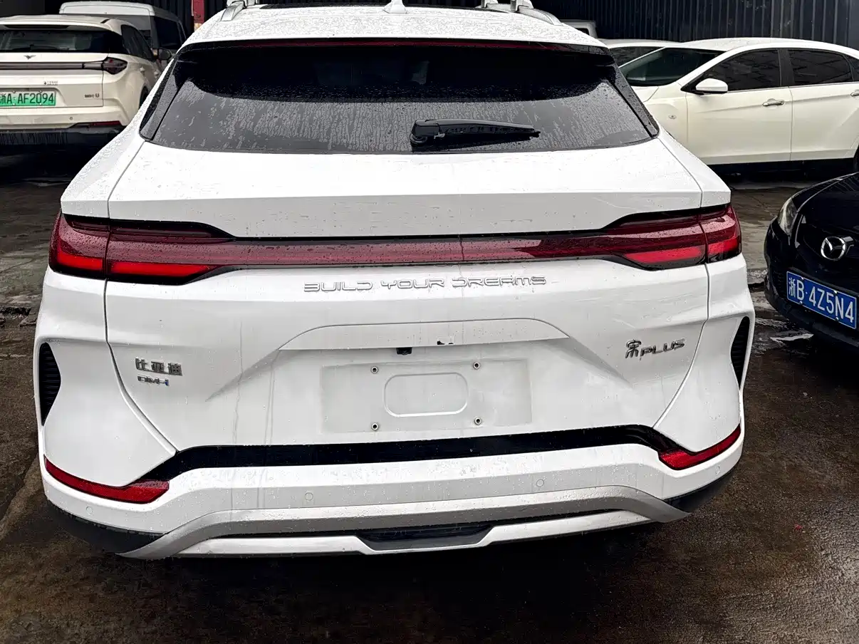 BYD SONGJIANG NEW ENERGY