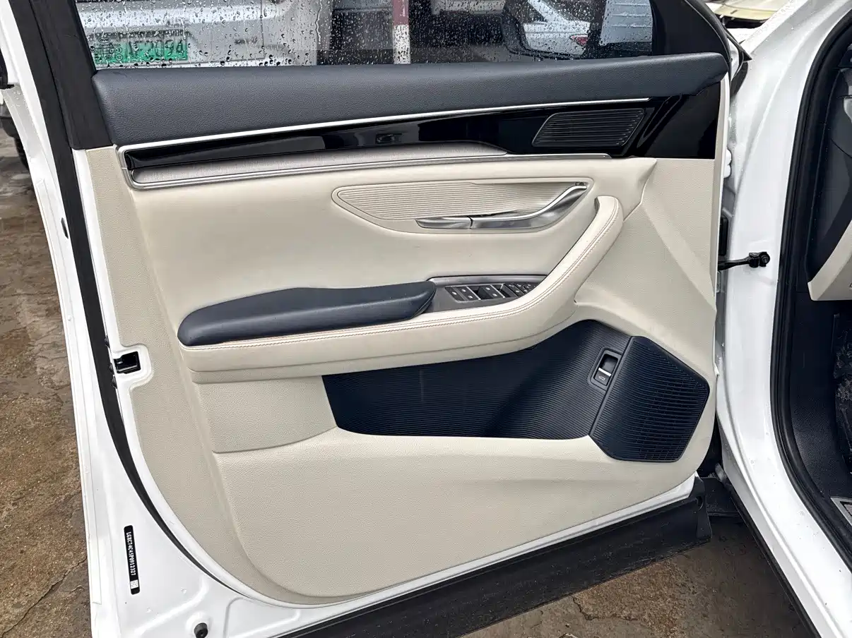 BYD SONGJIANG NEW ENERGY