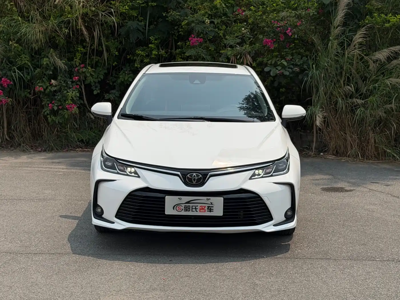 Toyota Corolla 2021 1.2T S-CVT Elite PLUS Edition фото 2