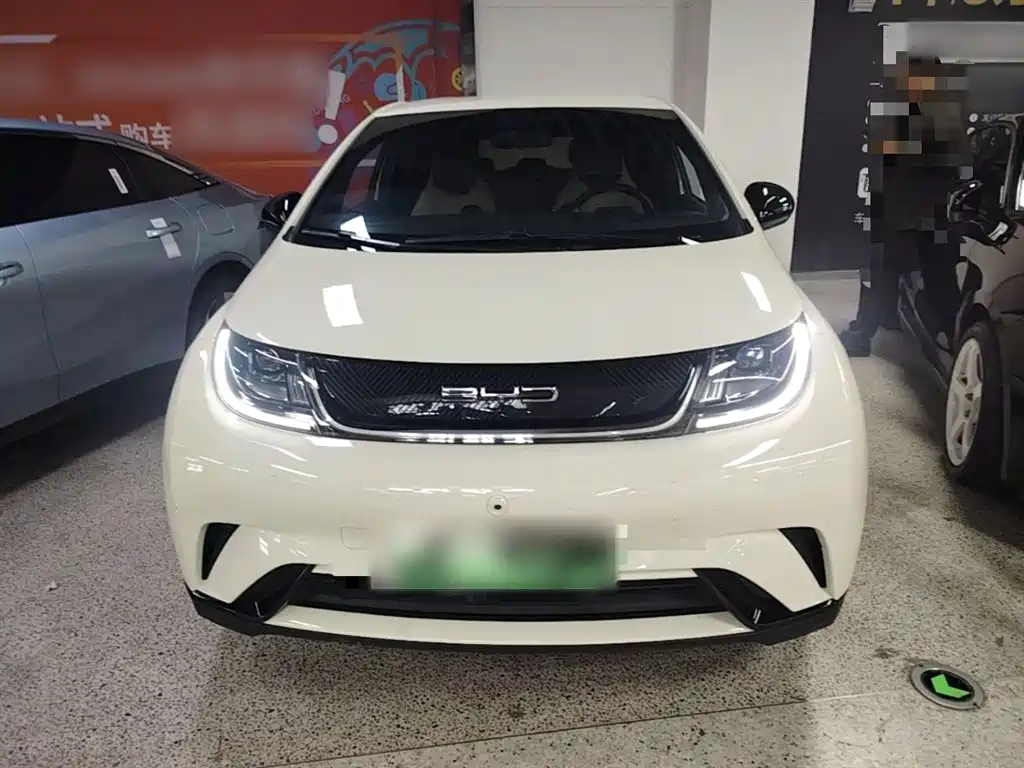 BYD Dolphin 2023 420km Freedom Edition фото 3