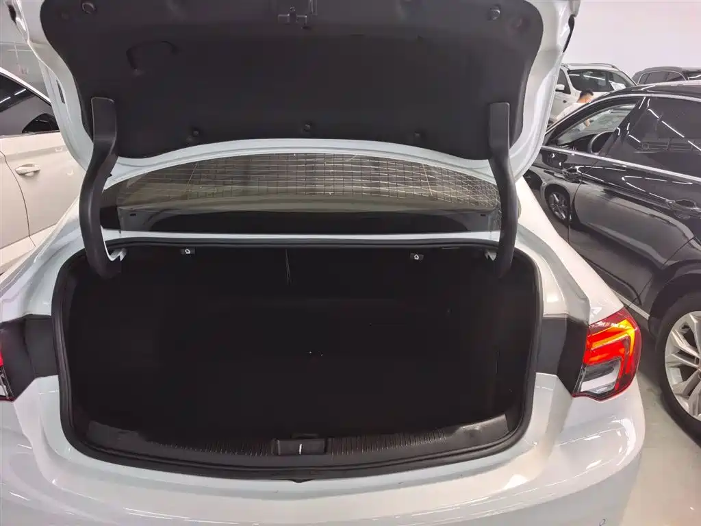 Buick Regal 2020 552T Elite фото 14