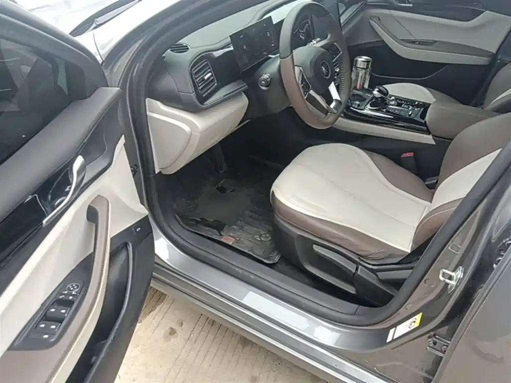 BYD Qin PLUS 2024 Glory Edition DM-i 55KM Leading фото 12