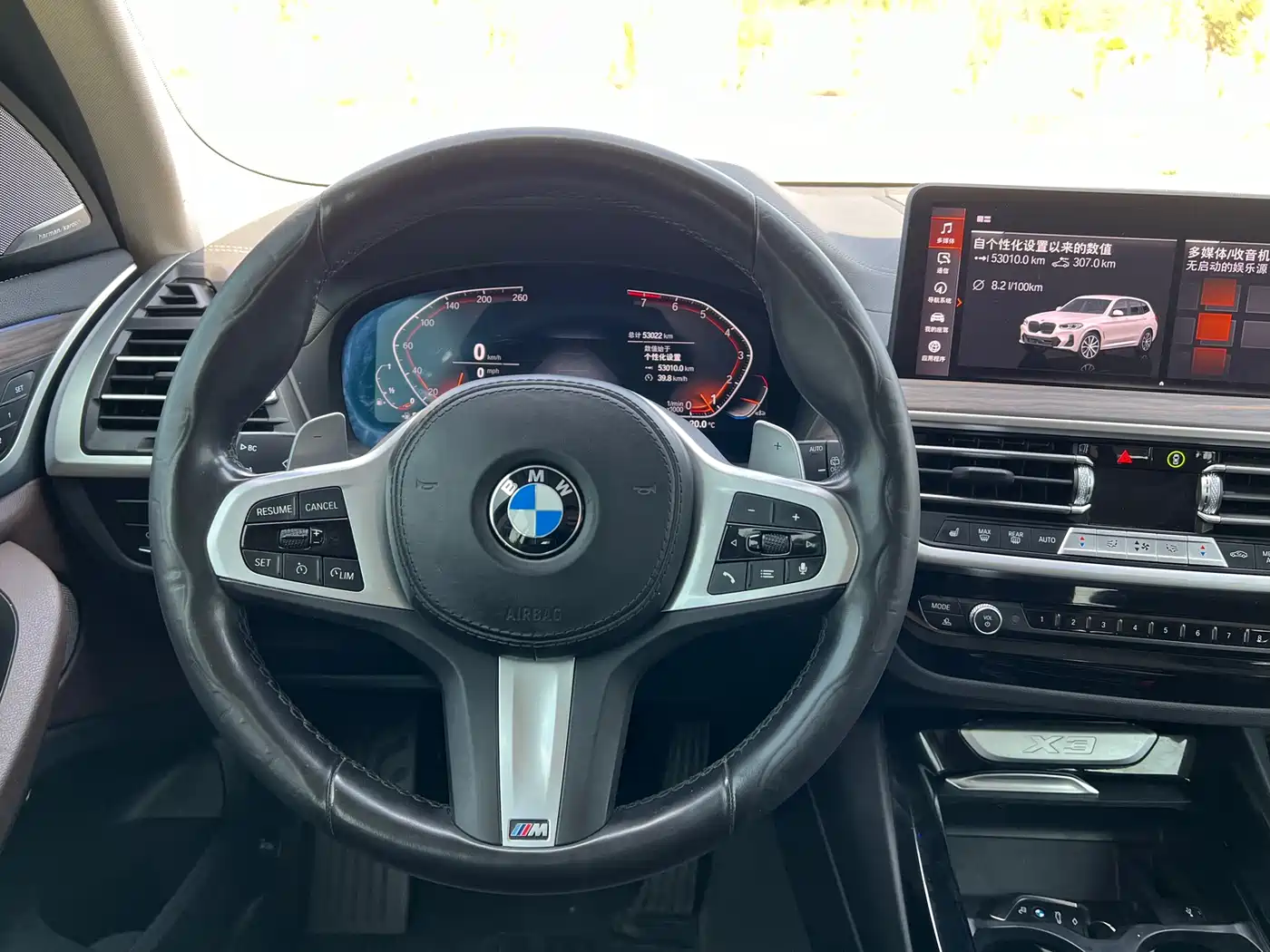 BMW X3 2022 xDrive30i Leading M Night Package фото 13