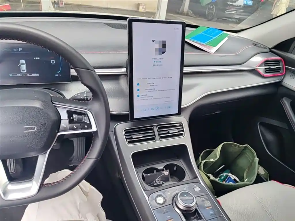 BYD Destroyer 05 2023 Champion Edition DM-i 55KM Luxury фото 10