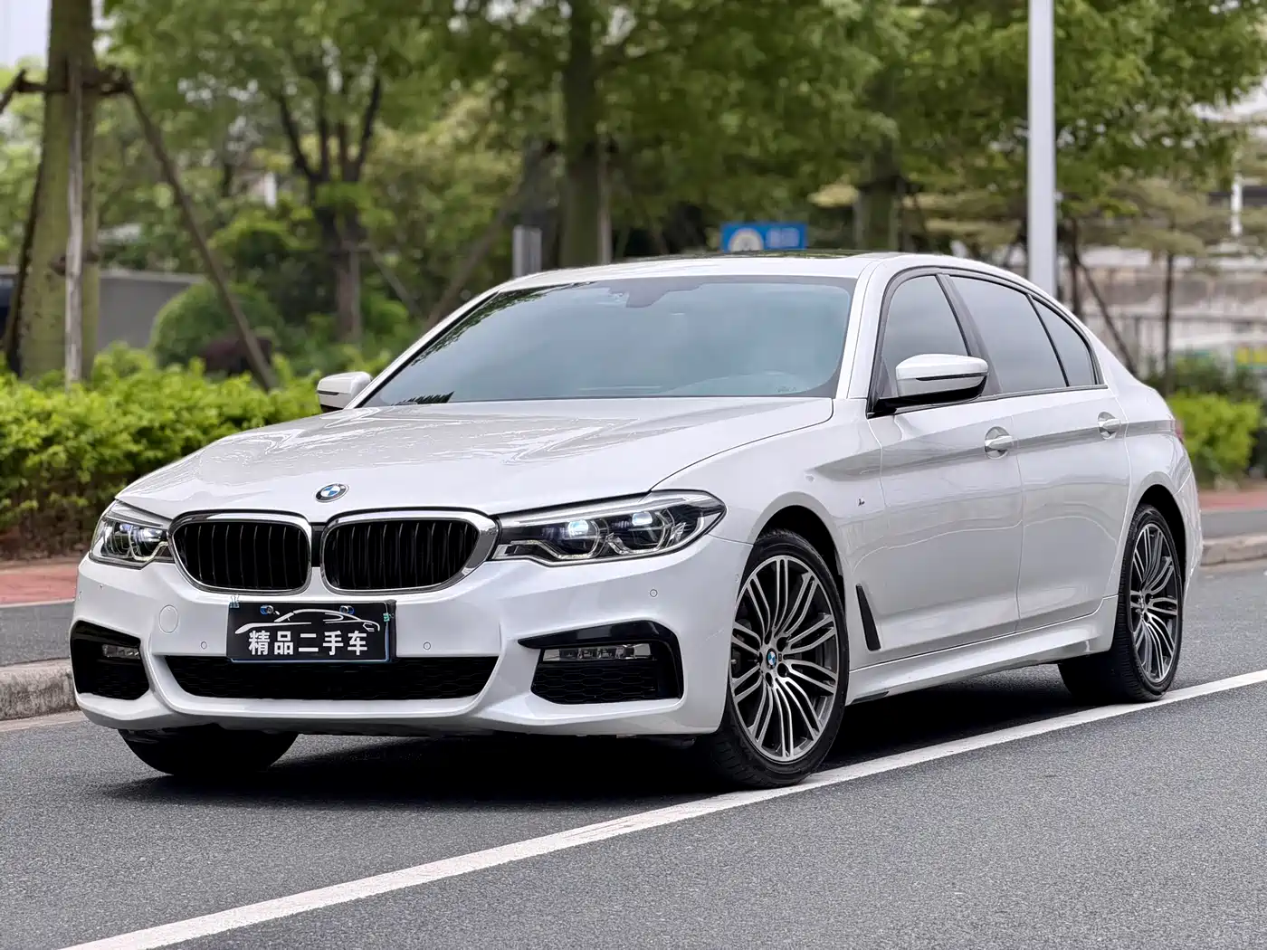 BMW 5 Series 2018 530Li Leading M Sport Package