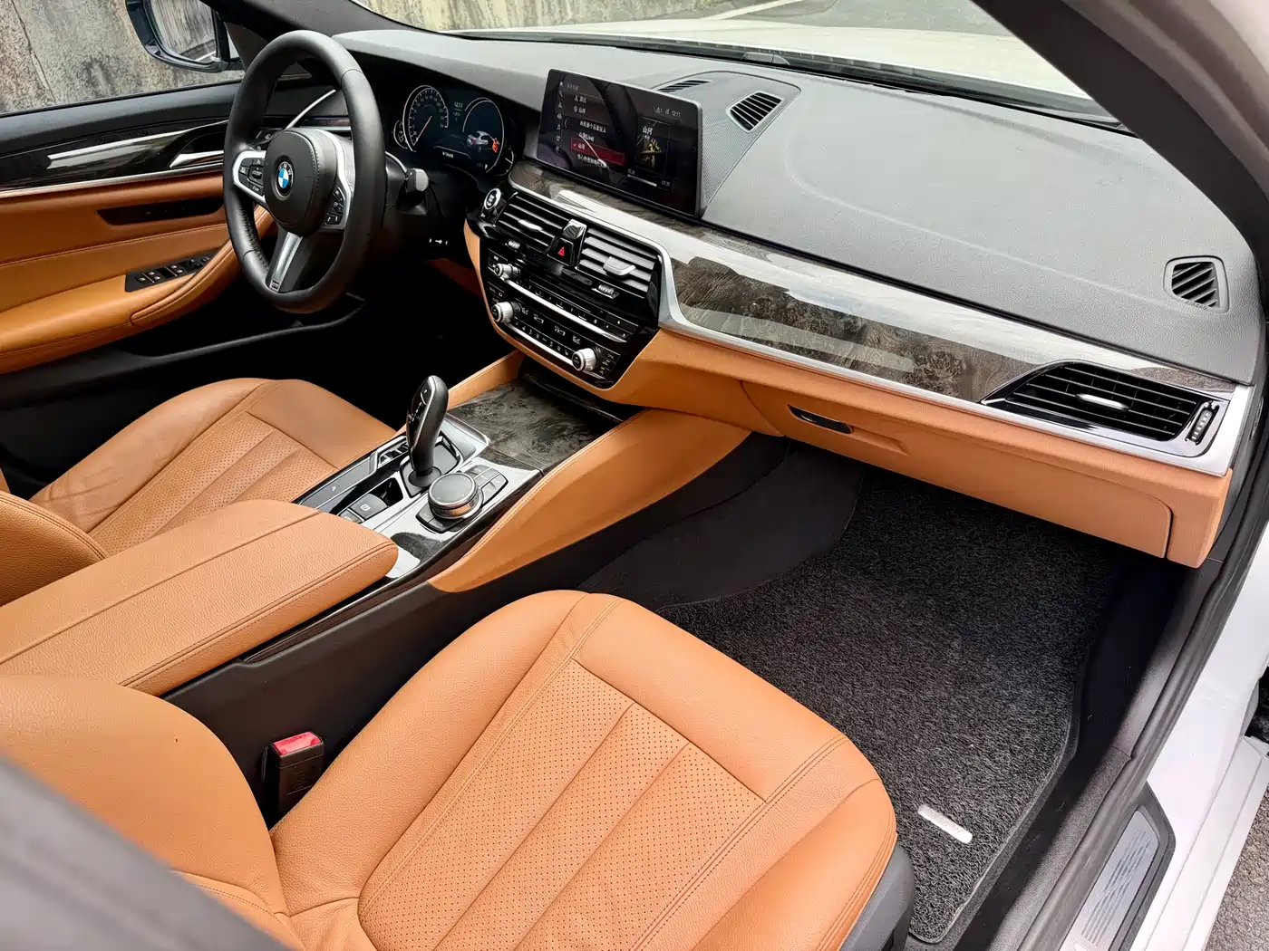 BMW 5 Series 2018 530Li Leading M Sport Package фото 22