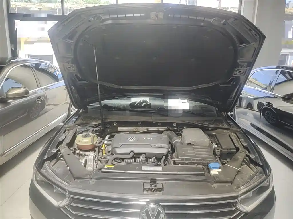 Volkswagen Magotan 2017 330TSI DSG Leading фото 20