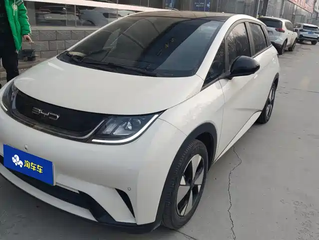 BYD DOLPHIN